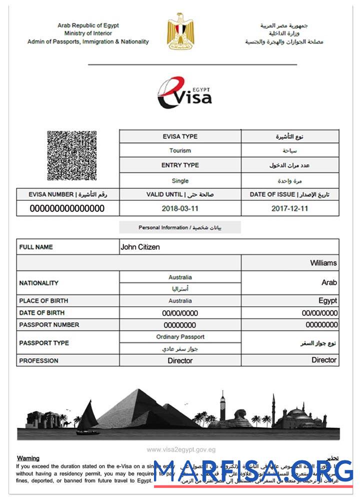 Printable Egypt e visa real example